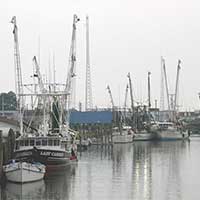 Fishing boats in Chincoteague harbor