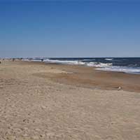 Assateague Beach